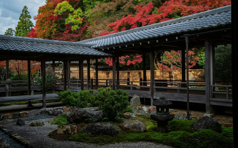 A wooden covered walkway in a Japanese garden surrounded by vivid autumn maples