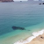 Waves breaking on a sandy beach beneath volcanic cliffs