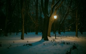 A lit lamppost glowing in a snowy park at night
